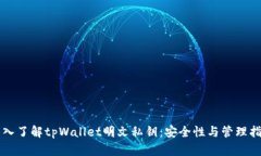 深入了解tpWallet明文私钥：安全性与管理指南