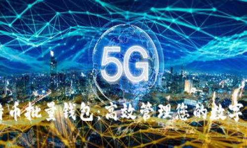 比特币批量钱包：高效管理您的数字资产