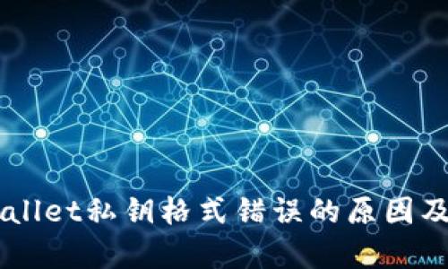 了解tpWallet私钥格式错误的原因及解决方案