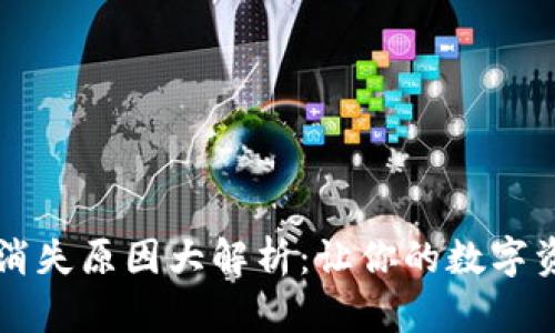 tpWallet币消失原因大解析：让你的数字资产安全无忧