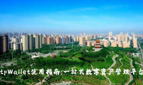 tpWallet使用指南：一站式数字资产管理平台