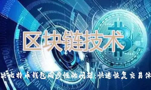 解决比特币钱包同步慢的问题：快速恢复交易体验