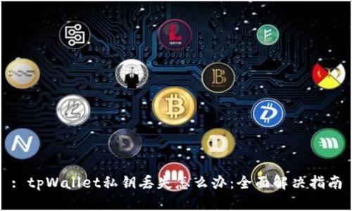 : tpWallet私钥丢失怎么办：全面解决指南