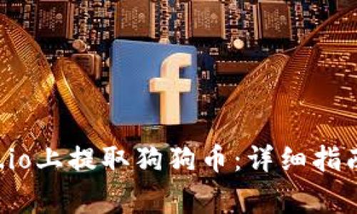 如何在Gate.io上提取狗狗币：详细指南与注意事项