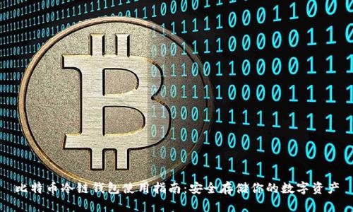 比特币冷链钱包使用指南：安全存储你的数字资产