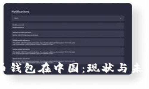 比特币钱包在中国：现状与未来展望