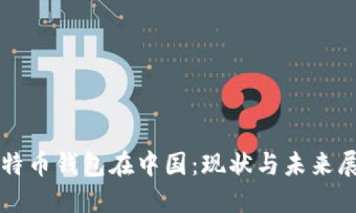 比特币钱包在中国：现状与未来展望