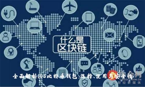全面解析iOS比特币钱包：选择、使用与安全性