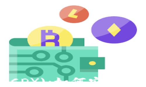 
比特币糖果钱包 (CDY)：如何安全快速地进行交易支付