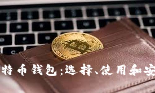 全面解析比特币钱包：选择、使用和安全防护指南