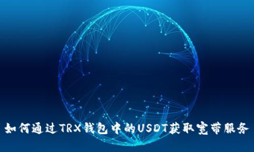 如何通过TRX钱包中的USDT获取宽带服务