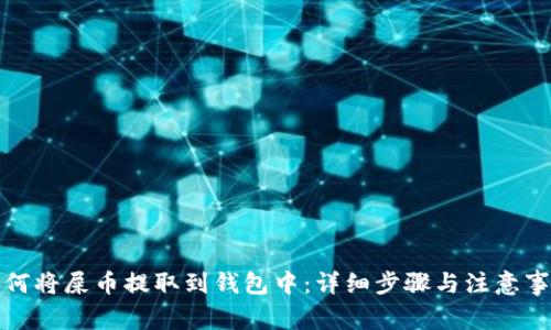如何将屎币提取到钱包中：详细步骤与注意事项