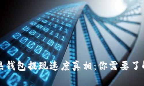 比特币热钱包提现速度真相：你需要了解的几点