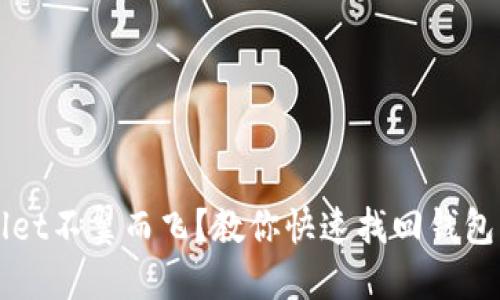 TPWallet不翼而飞？教你快速找回钱包的方法