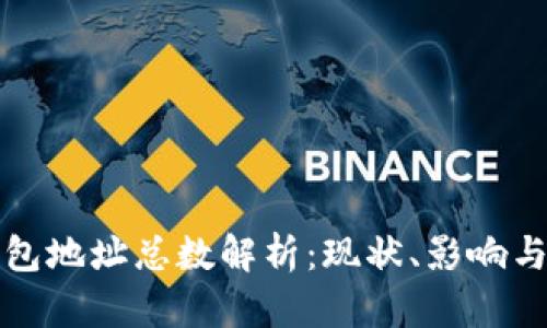比特币钱包地址总数解析：现状、影响与未来趋势