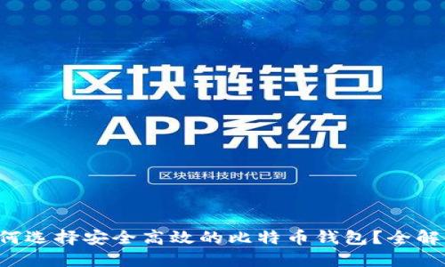 如何选择安全高效的比特币钱包?全解读!