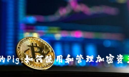 TPWallet内的Pig：如何使用和管理加密资产的最佳实践