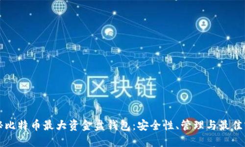 揭秘比特币最大资金盘钱包：安全性、管理与最佳实践