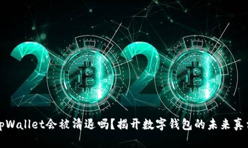 tpWallet会被清退吗？揭开数字钱包的未来真相