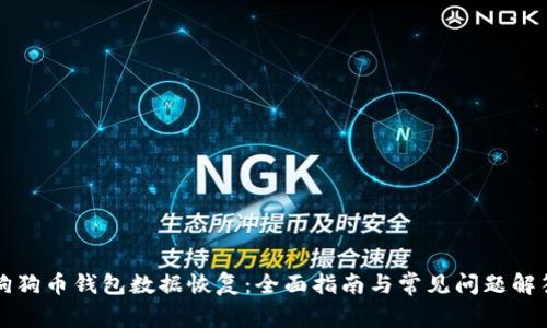 狗狗币钱包数据恢复：全面指南与常见问题解答