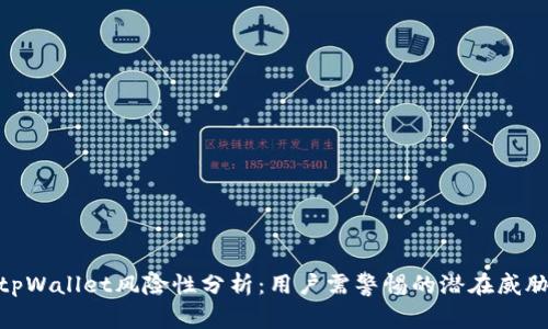 tpWallet风险性分析：用户需警惕的潜在威胁