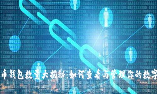 比特币钱包数量大揭秘：如何查看与管理你的数字资产
