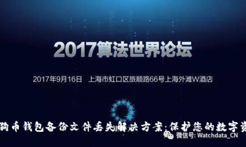 狗狗币钱包备份文件丢失解决方案：保护您的数字资产