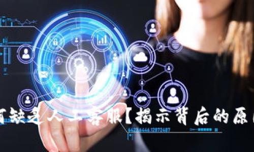 tpWallet为何缺乏人工客服？揭示背后的原因和解决方案