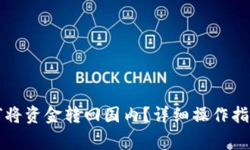 tpWallet如何将资金转回国内？详细操作指南与注意事项