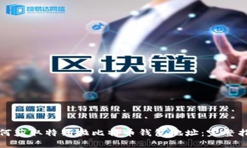 如何获取特斯拉比特币钱包地址：完整指南