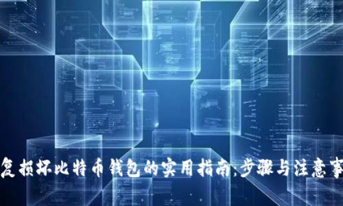 修复损坏比特币钱包的实用指南：步骤与注意事项
