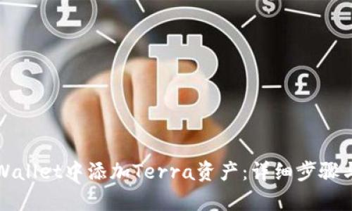如何在tpWallet中添加Terra资产：详细步骤与用户指南