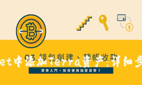 如何在tpWallet中添加Terra资产：详细步骤与用户指南
