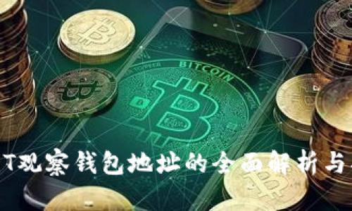 USDT观察钱包地址的全面解析与指南