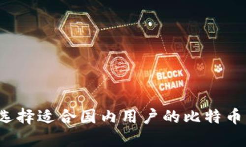 如何选择适合国内用户的比特币钱包？