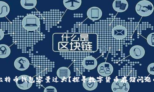 为何比特币钱包容量过大？探寻数字货币存储问题的根源