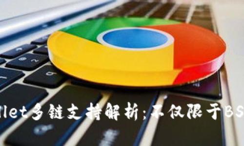tpWallet多链支持解析：不仅限于BSC通道