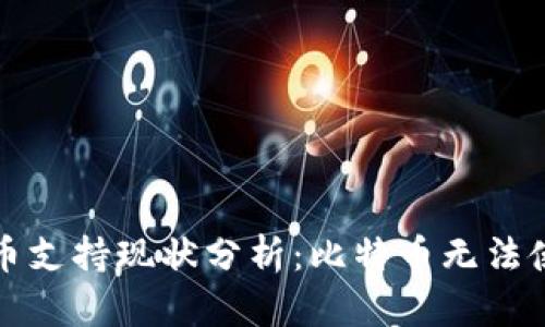 小狐狸钱包的虚拟货币支持现状分析：比特币无法使用的原因与解决方案