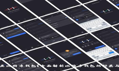 什么是比特币钱包？全面解析比特币钱包的种类与选择