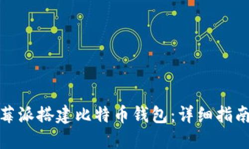 如何使用树莓派搭建比特币钱包：详细指南与实用建议