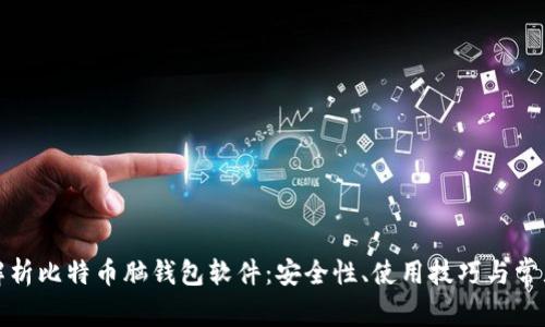 全面解析比特币脑钱包软件：安全性、使用技巧与常见问题