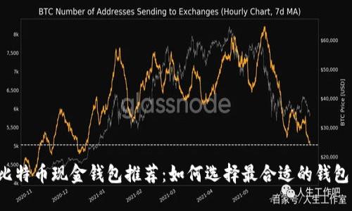 比特币现金钱包推荐：如何选择最合适的钱包？
