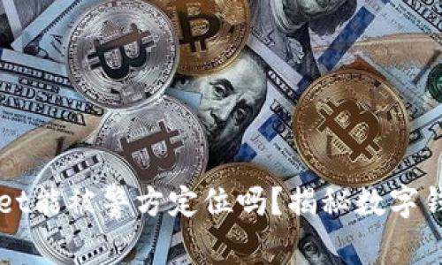 ### tpWallet能被警方定位吗？揭秘数字钱包的隐私特性