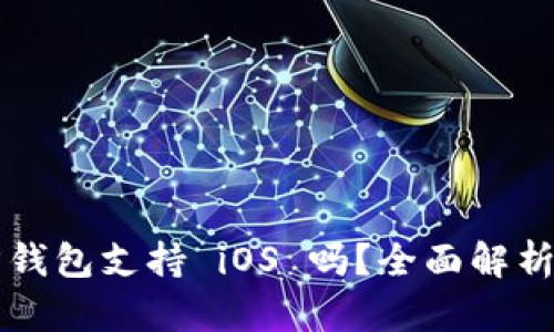 狗狗币官方钱包支持 iOS 吗？全面解析与用户指南