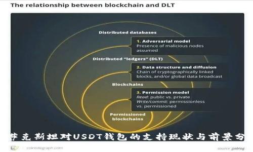 哈萨克斯坦对USDT钱包的支持现状与前景分析