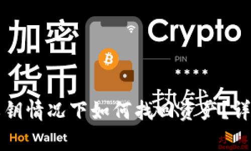 tpWallet无私钥情况下如何找回资产？详解步骤与技巧