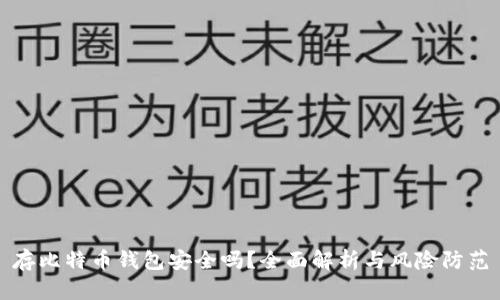 存比特币钱包安全吗？全面解析与风险防范