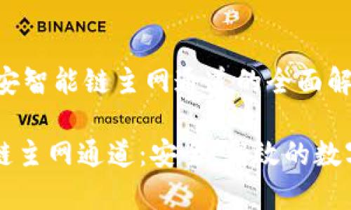 jianjietpWallet币安智能链主网通道的全面解析/jianjie

tpWallet币安智能链主网通道：安全、高效的数字资产存取解决方案