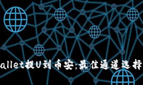 tpWallet提U到币安：最佳通道选择指南