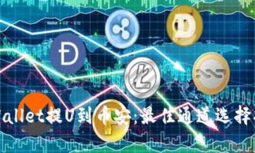 tpWallet提U到币安：最佳通道选择指南
